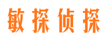 怀化侦探公司